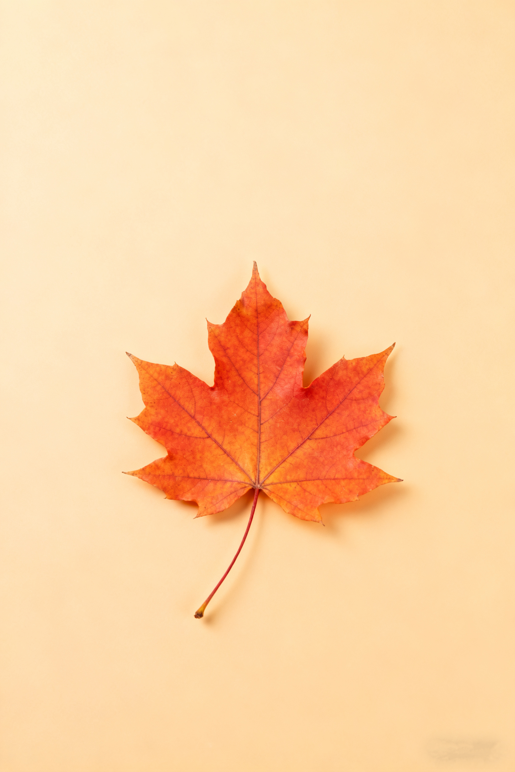 干燥天气咳嗽怎么办？中医理疗方法大揭秘